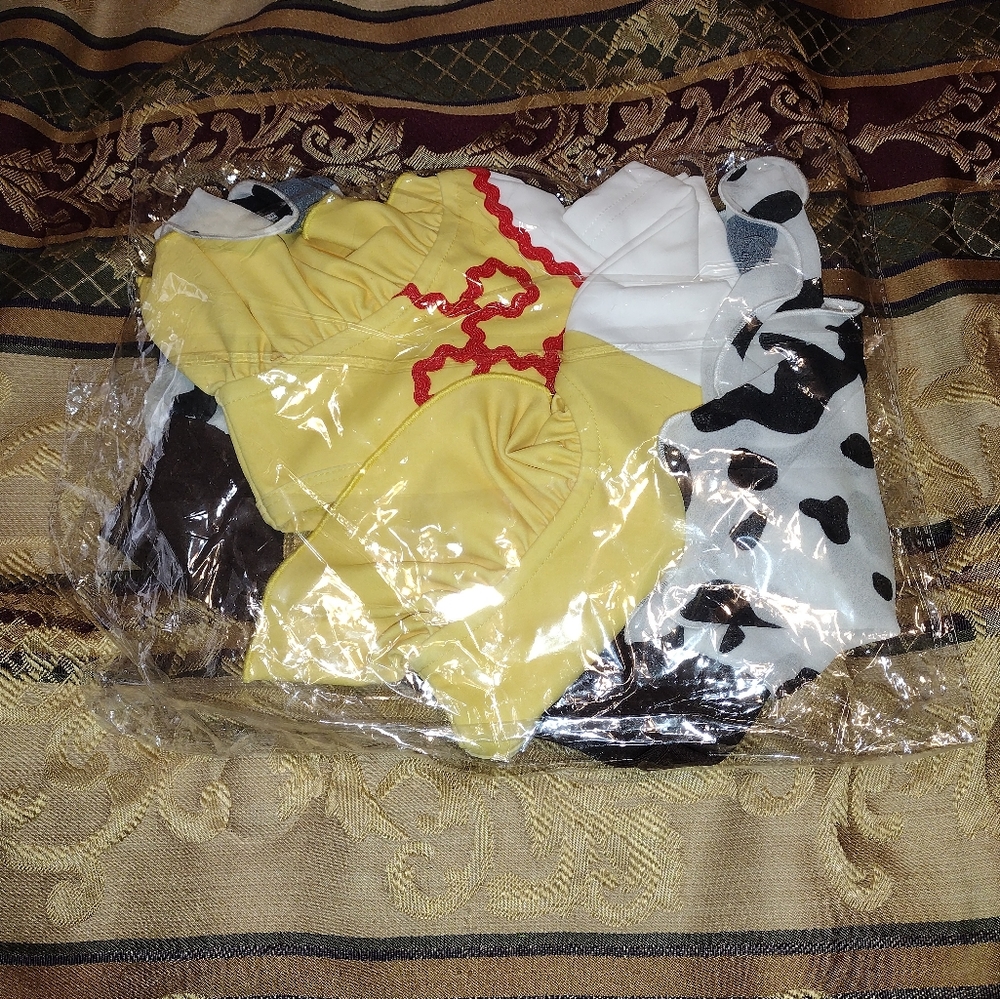 Dance Wear Costume